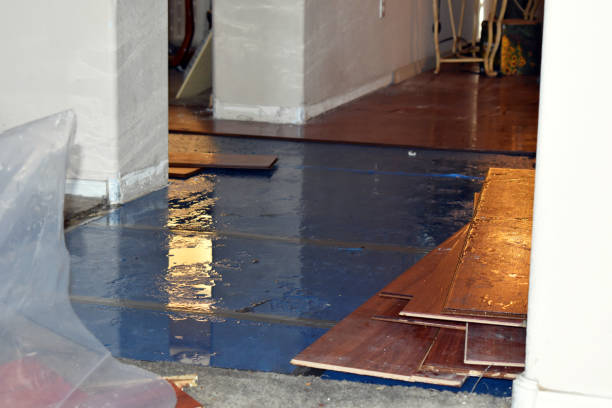 Professional Water Damage Restoration technician working in Cairo, NY
